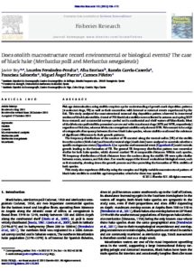 Icon of Rey Et Al (2011) Does Otolith Macrostructure Record Environmental Or Biological Events  Black Hake M Polli And M Senegalesis